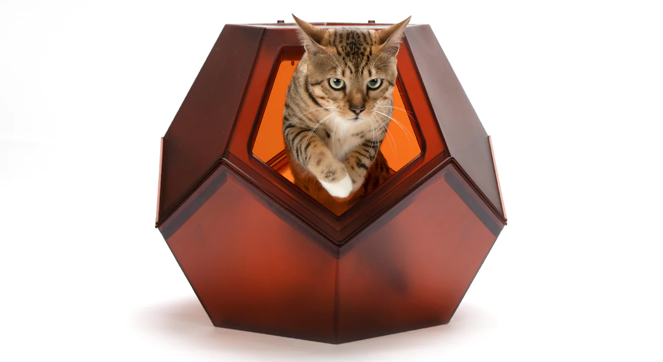 Pet Object 03-08-23 G3 - Image 2